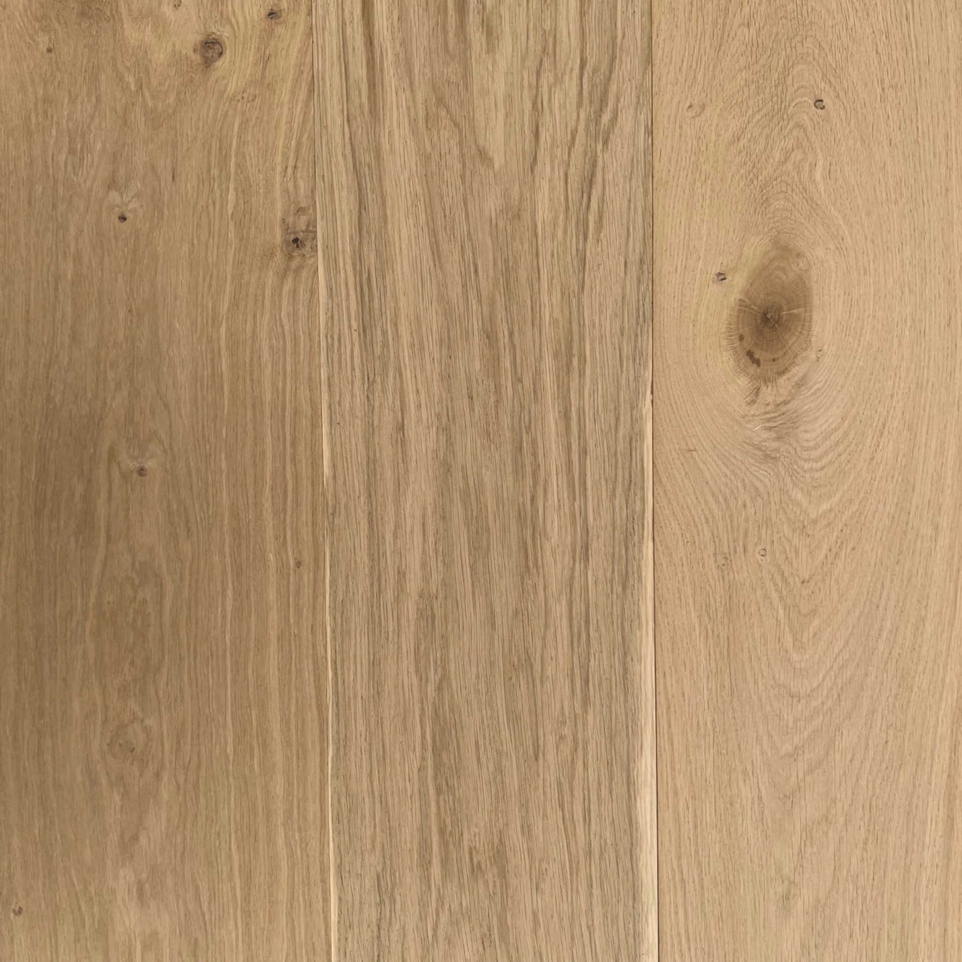 Raw Engineered & Solid Timber