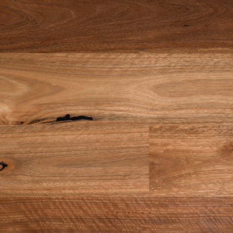 Spotted Gum - Matte